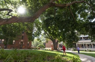 Visit Augsburg’s urban arboretum: a green oasis in the city